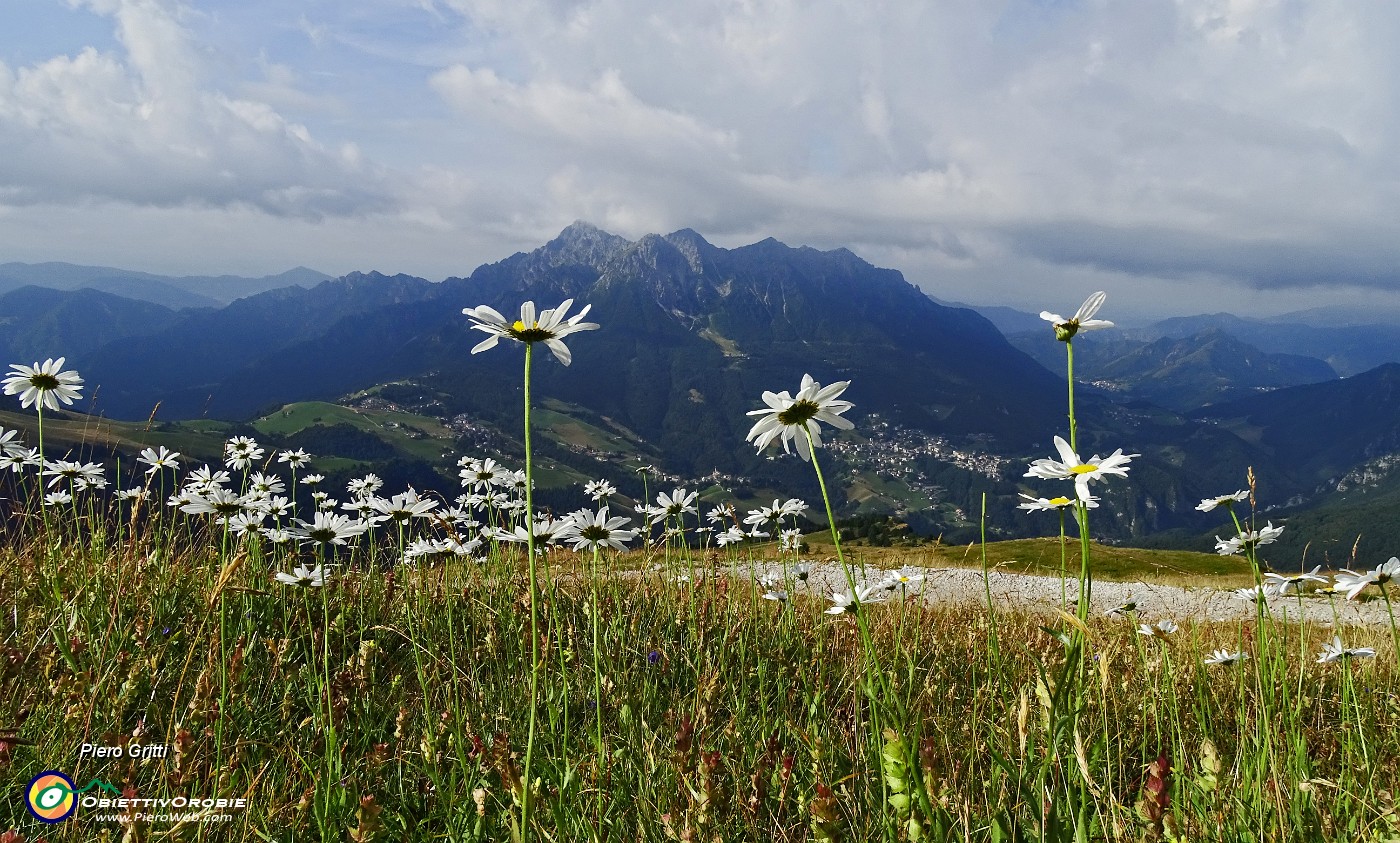 02 Al Piancansaccio  in Alpe Arera con vista in Alben.JPG -                                